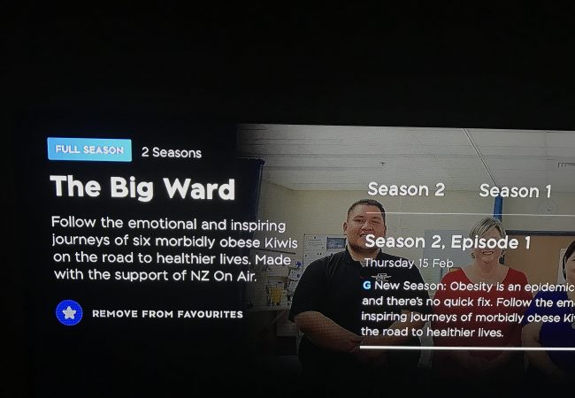 You’ve watched The Big Ward, now what?